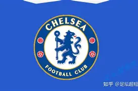 夏洛特黄蜂队新闻