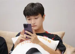 夏洛特黄蜂队新闻